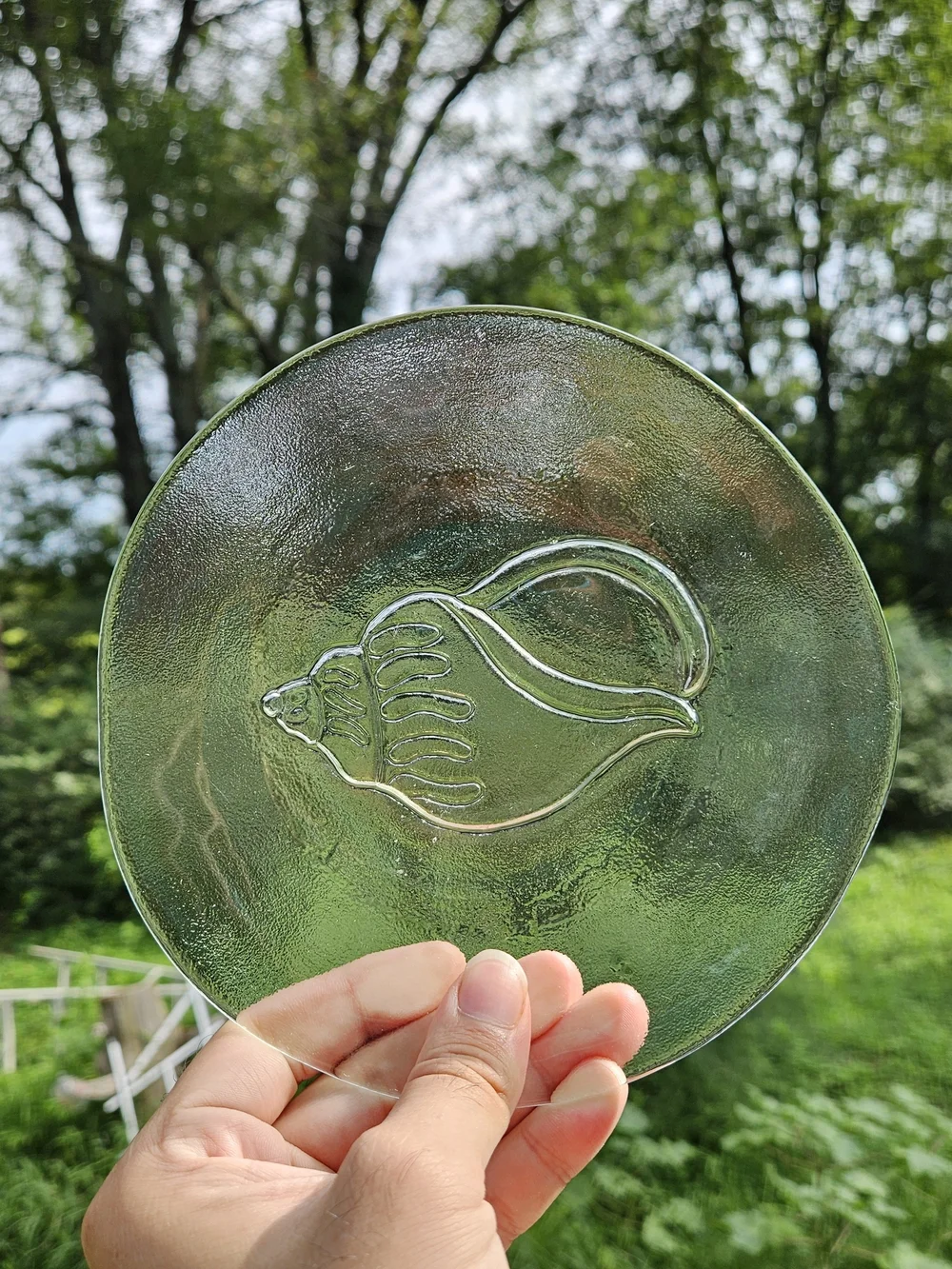 Set of 4 Clear Glass Seafood Motif Plates Appetizer Sized